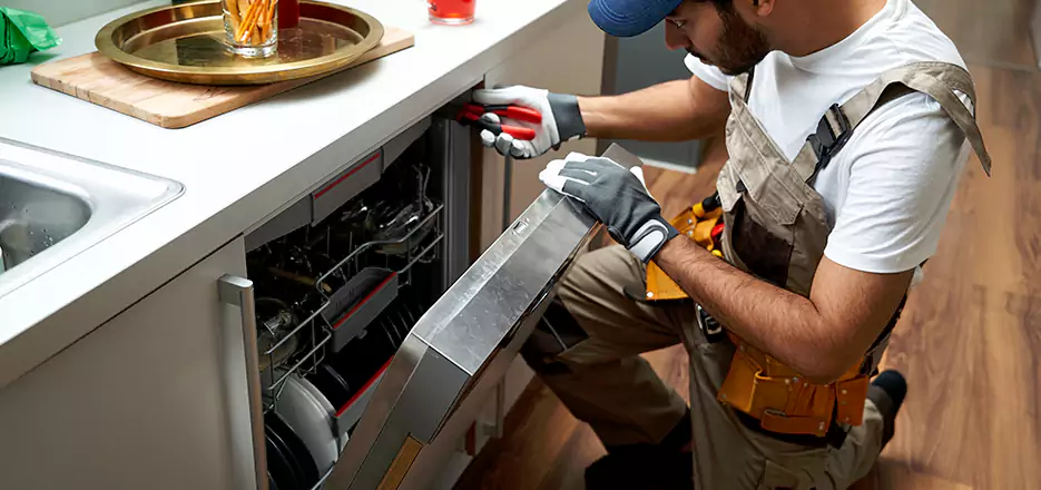 Same Day Dishwasher Not Draining Repair in Malden