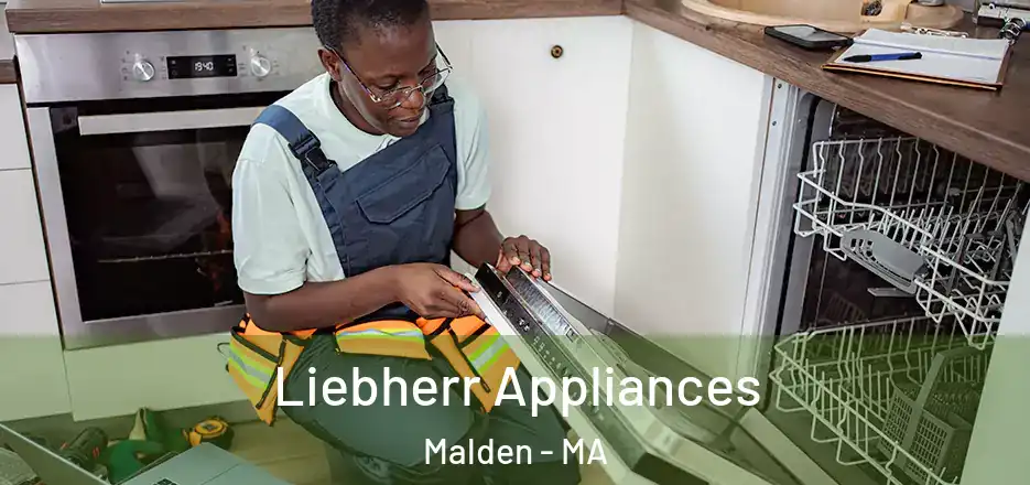  Liebherr Appliances Malden - MA